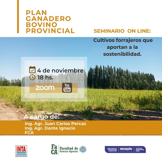 Plan ganadero bovino provincial- Seminario virtual 4/11