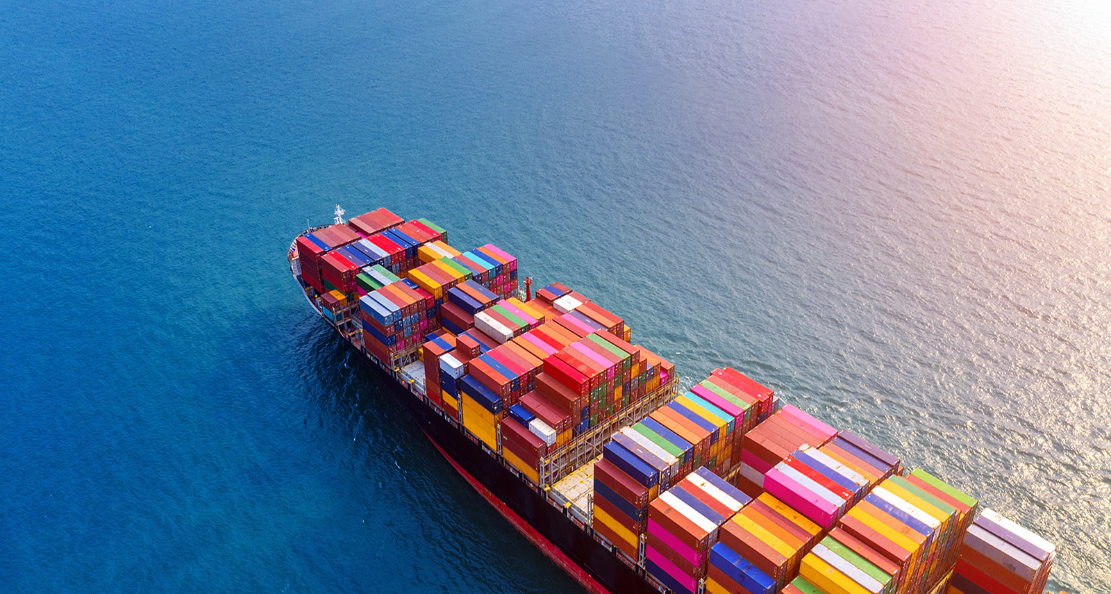 Novedades sobre la Capacitación de”Protocolos de exportación”