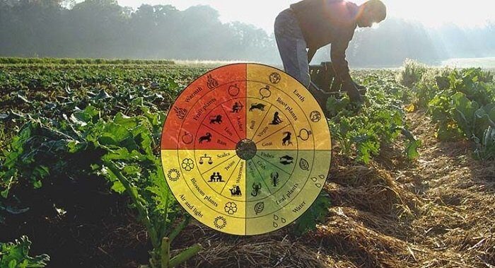 Agricultura Biodinámica