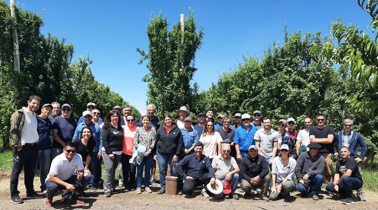 Una experiencia de manejo en frutales de carozo en el Alto Valle