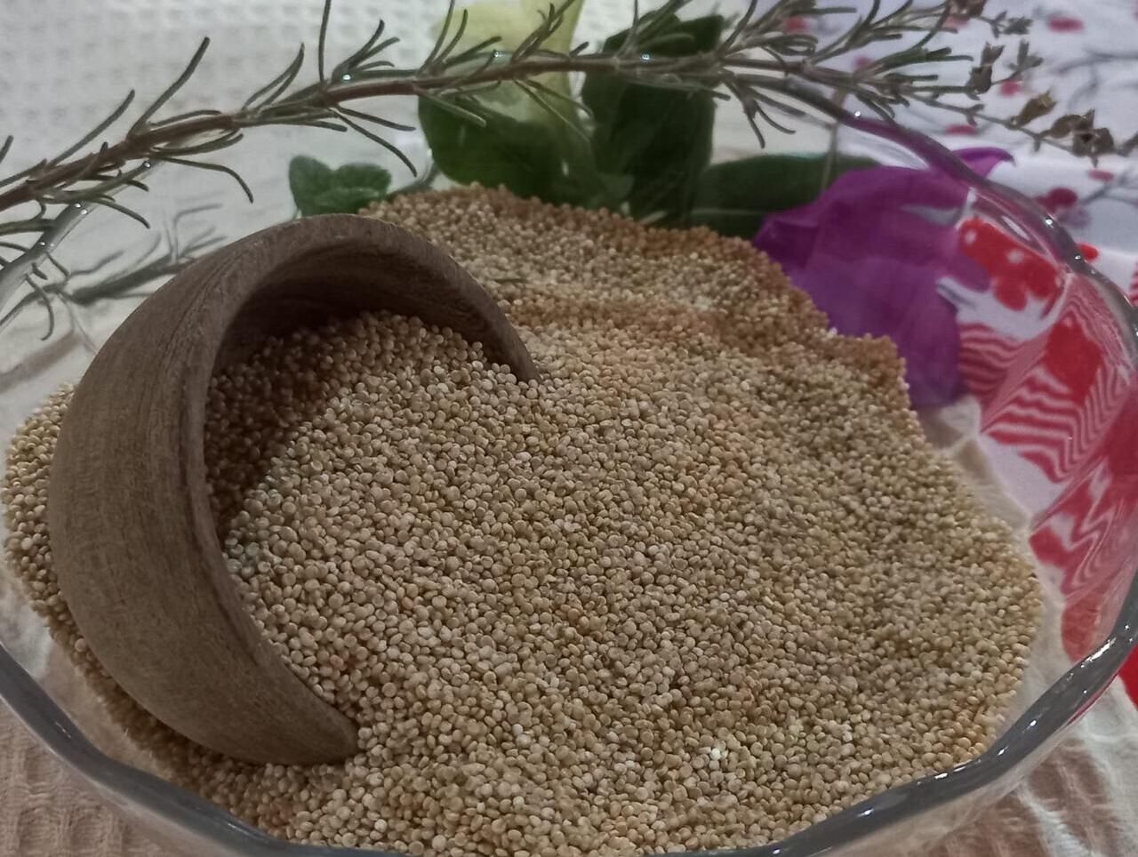 Desarrollo de producción de quinoa y sus propiedades nutricionales