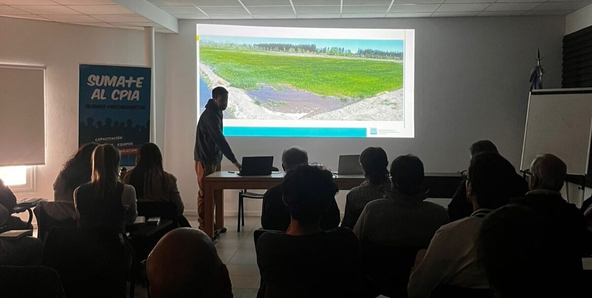 Drones en la producción agrícola