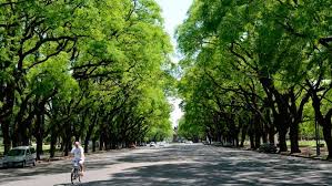 Comisión de Infraestructura Verde