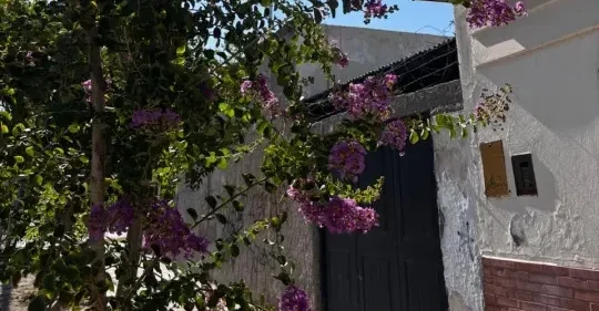 Comision Infraestrucura Verde RN